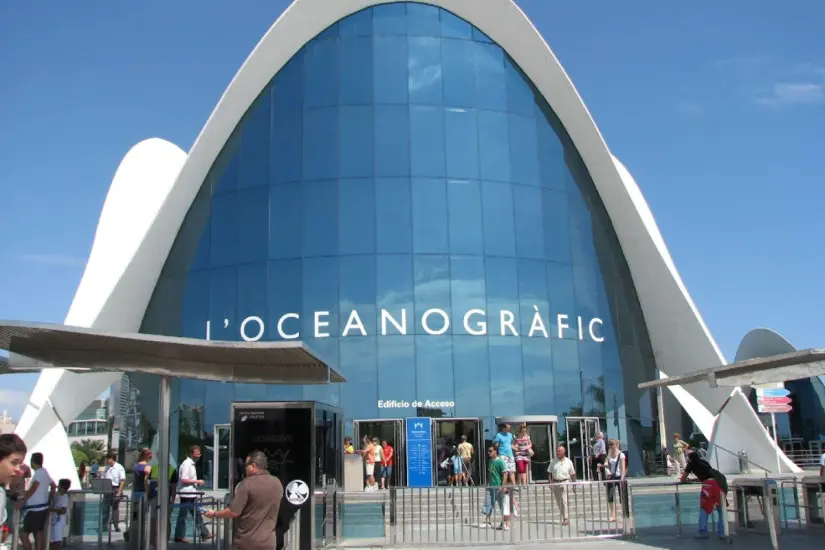 Con diseño moderno y enfoque educativo, el Oceanogràfic de Valencia es una joya para quienes buscan aprender sobre el océano. Foto: Google