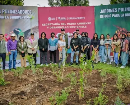 ¡Estadías con sustentabilidad! Estudiantes del Edomex toman acción en la lucha contra el cambio climático