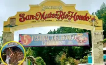 Festival del Hongo 2025: Mujeres compiten con hacha en mano por el título de “rajadoras”
