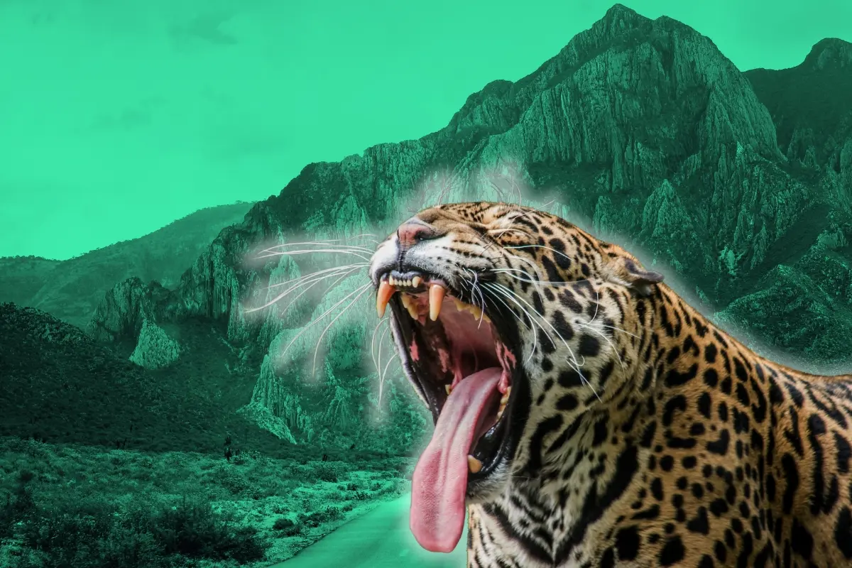 La Sierra Madre y un leopardo. Foto: Canva
