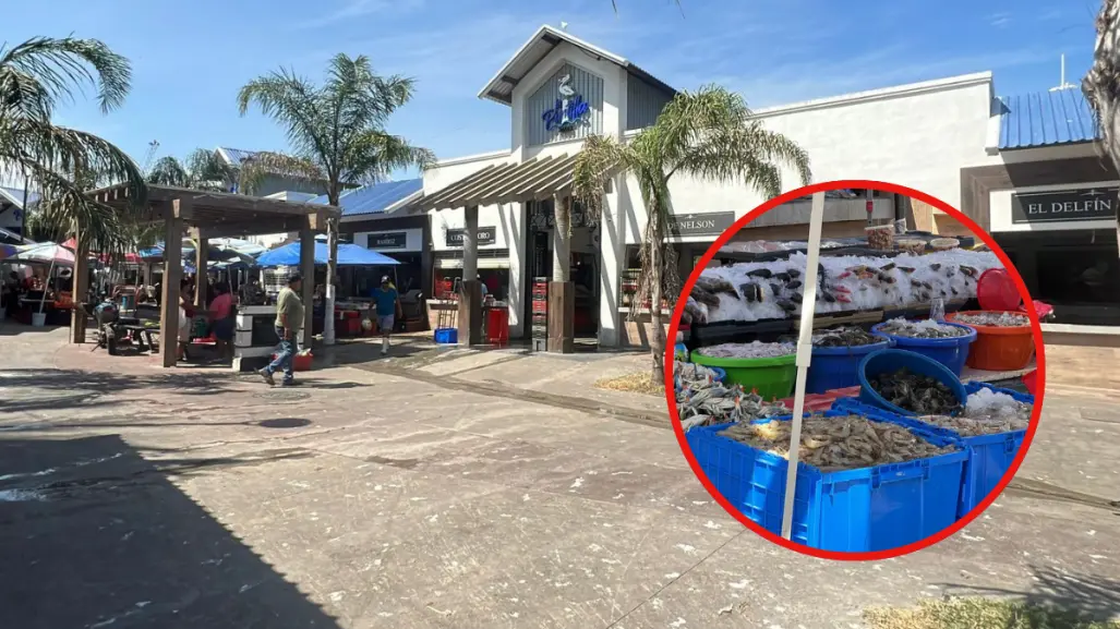 "La Puntilla" de Tampico vive el verano como una de sus temporadas más activas del año