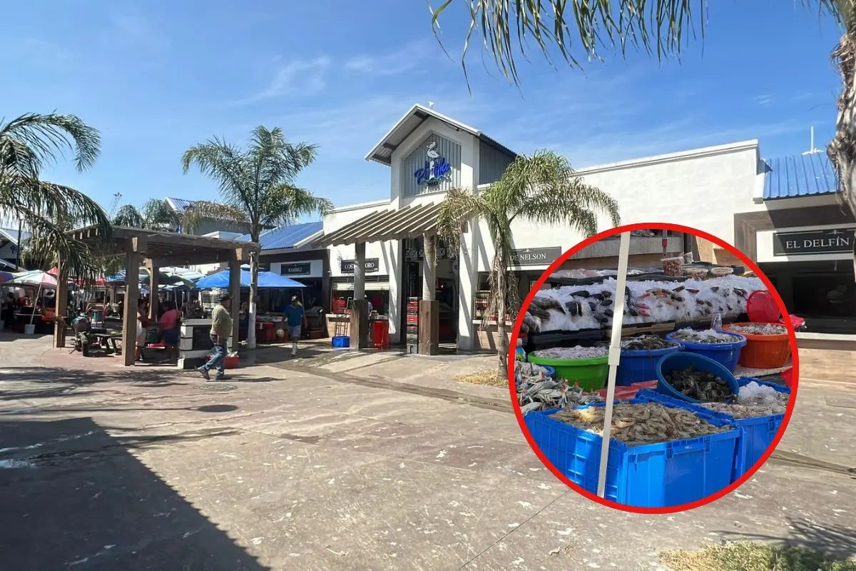 Los turistas buscan mariscos frescos en el mercado La Puntilla en Tampico, Tamaulipas | Foto: Axel Hassel