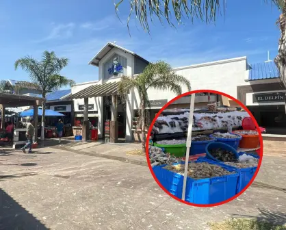 "La Puntilla" de Tampico vive el verano como una de sus temporadas más activas del año