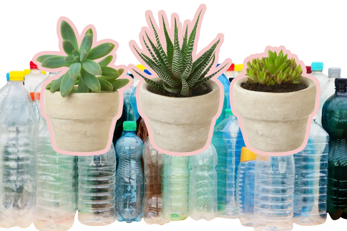 Al promover el reciclaje de PET, se disminuye la presión sobre estos sitios y se evita la contaminación del suelo y cuerpos de agua./Foto: Canva