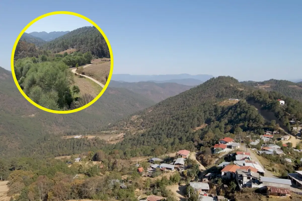 Oaxaca ofrece destinos únicos para reconectar con la naturaleza, dejando el bullicio de la rutina diaria. Foto: Captura de pantalla YT @ProyectoTPSMexico