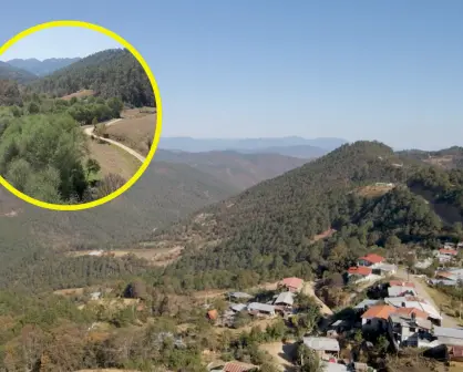 Oaxaca: De la utopía a la realidad, un viaje por la Sierra Norte