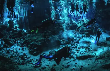 Este es el nuevo pez descubierto en los cenotes de Yucatán