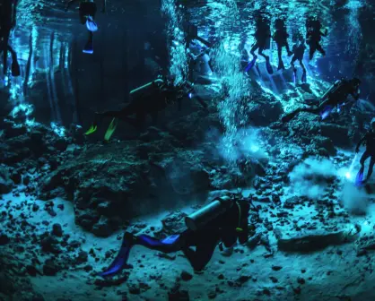 Este es el nuevo pez descubierto en los cenotes de Yucatán