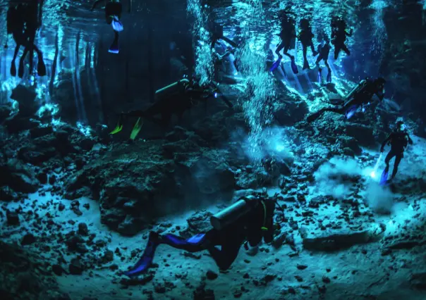 Este es el nuevo pez descubierto en los cenotes de Yucatán