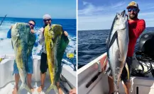 Pez dorado en BCS: cuánto cuesta una jornada de pesca y qué incluye el tour