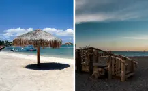 Qué hacer en Baja California Sur según la temporada: los mejores planes para frío y calor