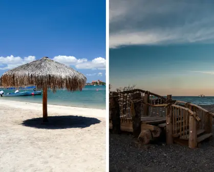 Qué hacer en Baja California Sur según la temporada: los mejores planes para frío y calor