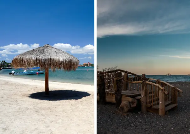 Qué hacer en Baja California Sur según la temporada: los mejores planes para frío y calor