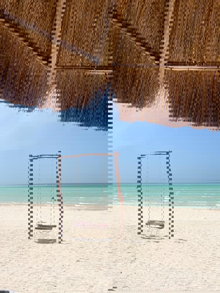 imagen-cuerpo imagen-cuerpo