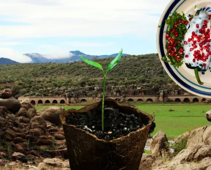 El municipio de Durango famoso en todo el país por sus increíbles chiles anchos