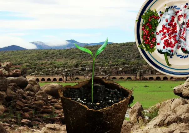 El municipio de Durango famoso en todo el país por sus increíbles chiles anchos
