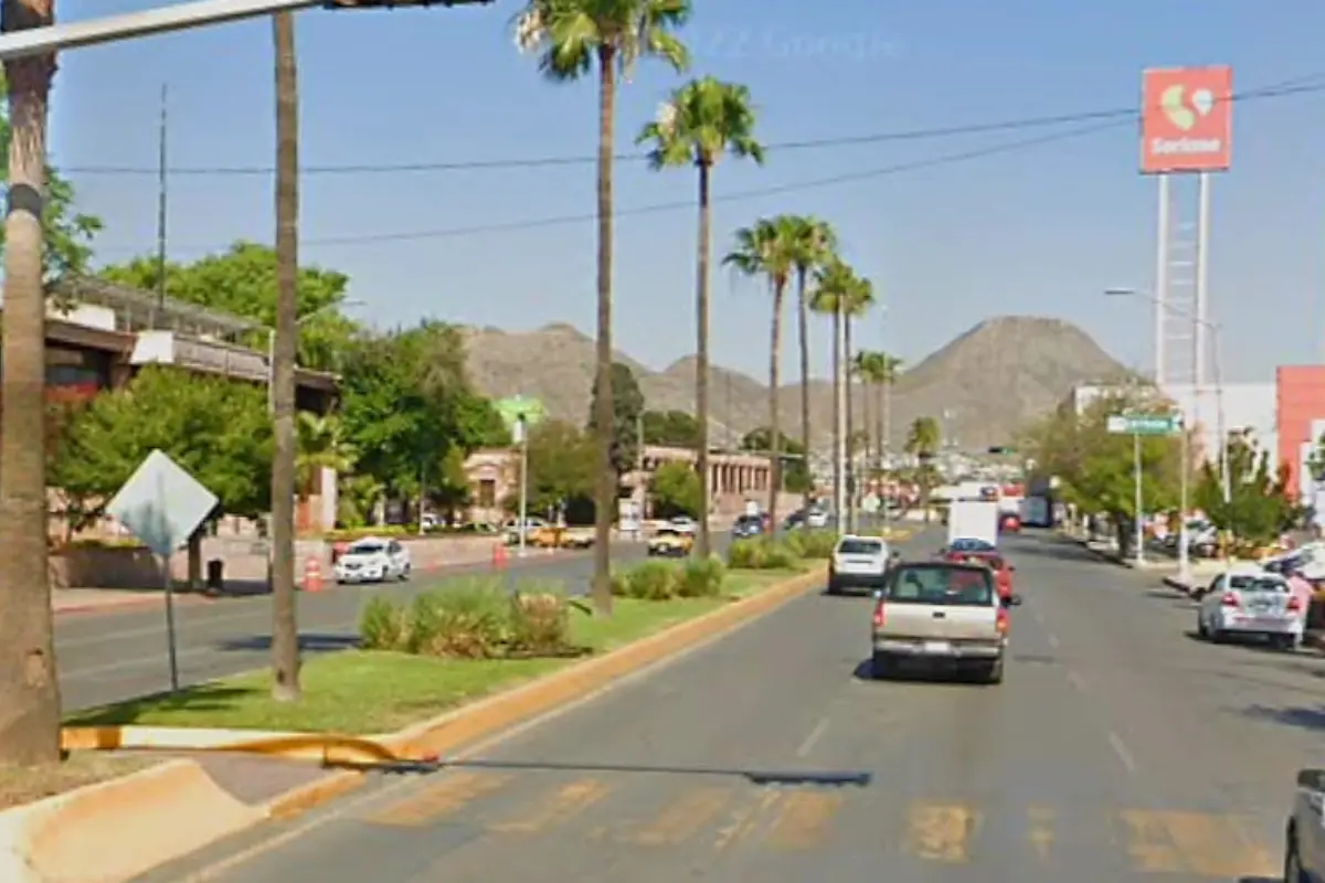La Dirección de Medio Ambiente ha estado realizando inspecciones, poda preventiva y retiro de ramas que pudieran representar un riesgo./Foto: DeSaltillo - Fotografías e Historias