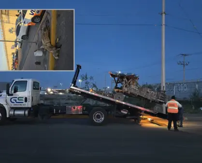 Impulsa Torreón prohibición de carromatos tras rescate de burrito maltratado