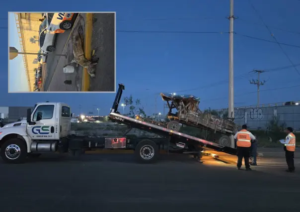 Impulsa Torreón prohibición de carromatos tras rescate de burrito maltratado