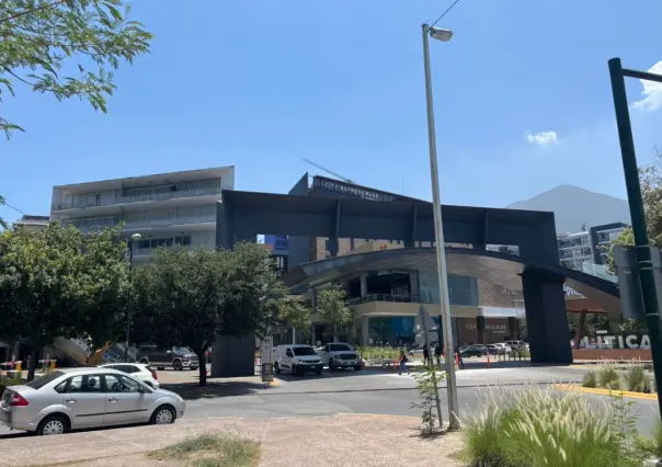 Empresas en Nuevo León: ¿Cuál es el papel de las microempresas en la economía del Estado?