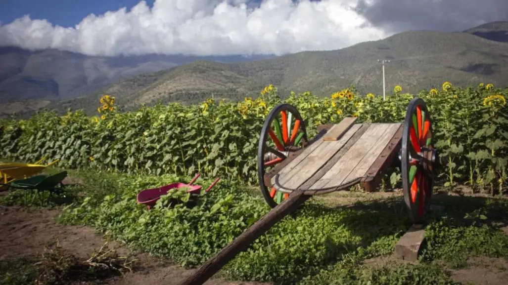 ¿Cuál es el Pueblo Mágico más barato para vacacionar desde Saltillo este verano?