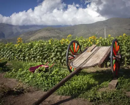 ¿Cuál es el Pueblo Mágico más barato para vacacionar desde Saltillo este verano?
