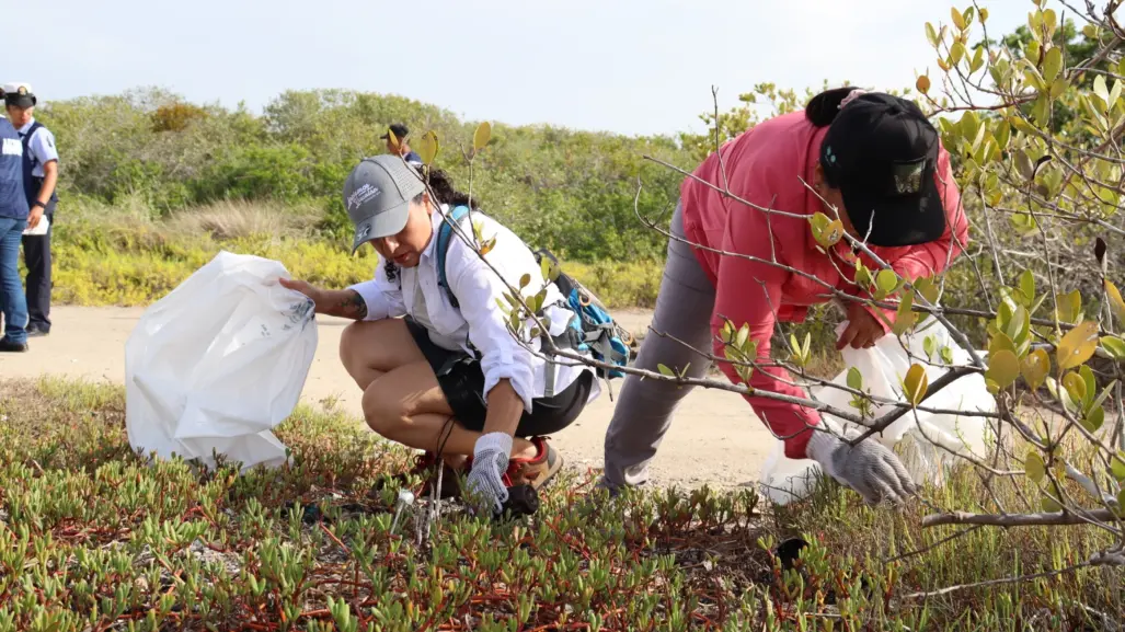 Recolectan casi 2 toneladas de basura en jornada de limpieza de manglar en Yucatán
