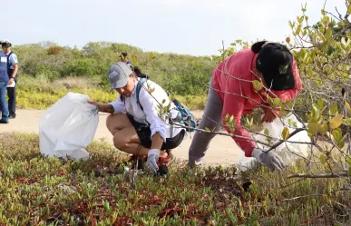 Recolectan casi 2 toneladas de basura en jornada de limpieza de manglar en Yucatán