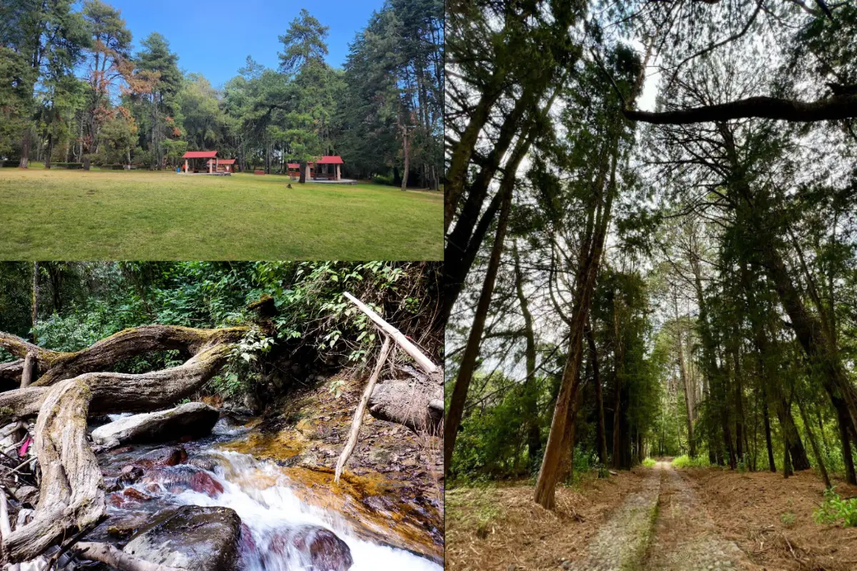 Paraíso natural en el parque estatal del Edomex.  Foto: Google Maps | Canva