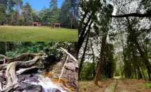 Conoce el parque estatal del Edomex en el que encontrarás un paraíso natural