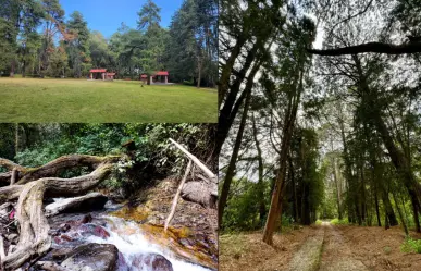Conoce el parque estatal del Edomex en el que encontrarás un paraíso natural