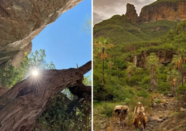¿Por qué se llama Sierra Guadalupe? El origen de este nombre en Baja California Sur
