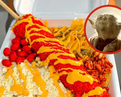 Los mejores lugares para comprar trolelote y elotes preparados en Tamaulipas