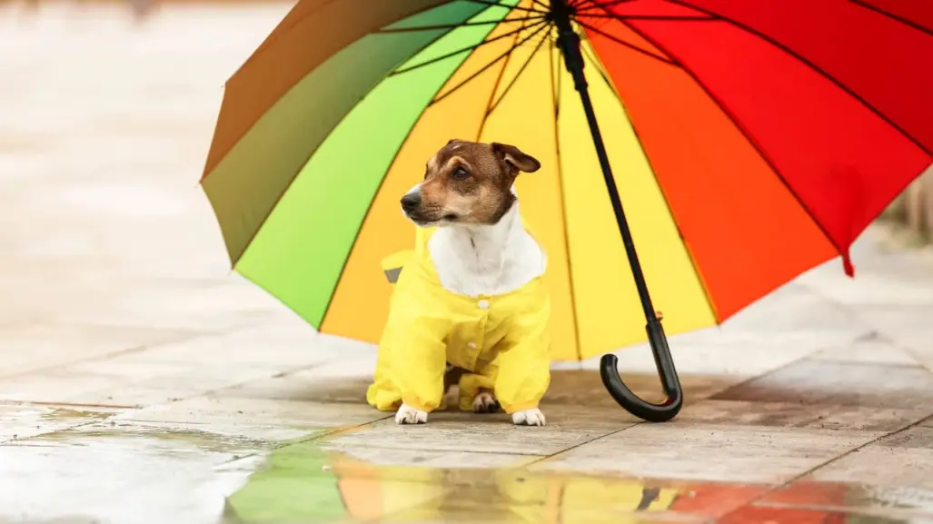 ¿Más calor que lluvia? el pronóstico del clima en Durango para este 27 de julio