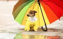 ¿Más calor que lluvia? el pronóstico del clima en Durango para este 27 de julio