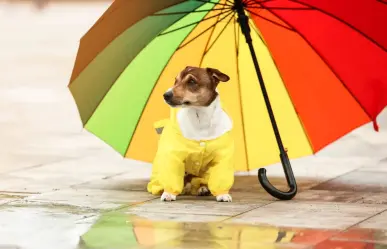 ¿Más calor que lluvia? el pronóstico del clima en Durango para este 27 de julio