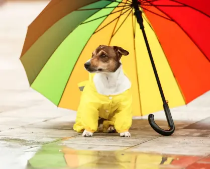 ¿Más calor que lluvia? el pronóstico del clima en Durango para este 27 de julio