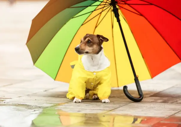 ¿Más calor que lluvia? el pronóstico del clima en Durango para este 27 de julio