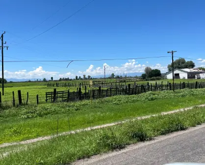 El campo de Durango está en riesgo y ya no es por la sequía