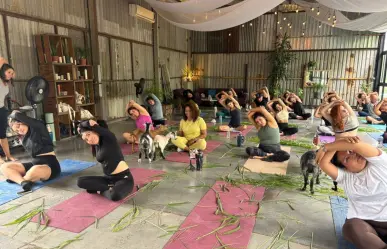 ¿Yoga con cabras? Conoce la experiencia única en Monterrey
