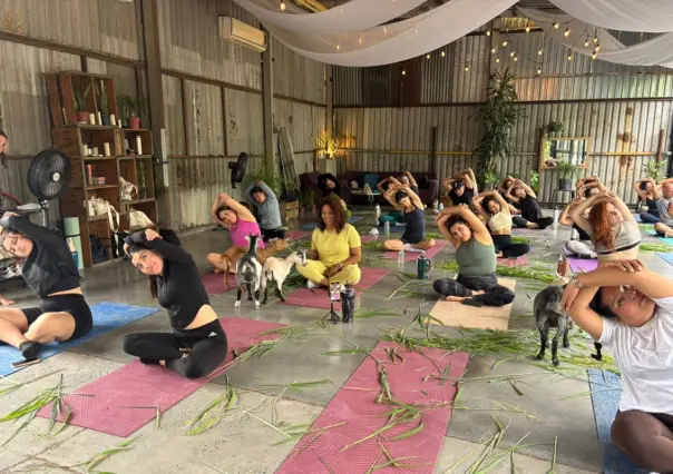 ¿Yoga con cabras? Conoce la experiencia única en Monterrey