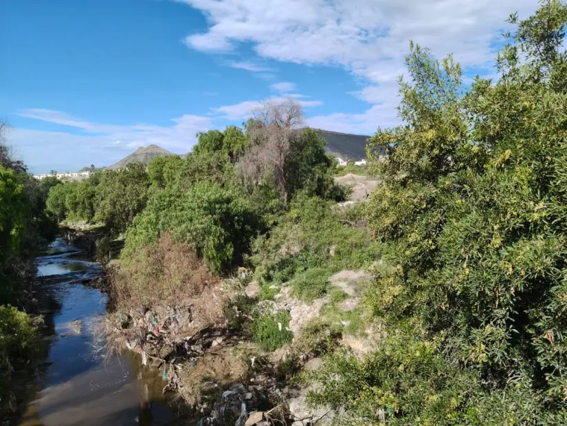 Arroyo en cuestión al poniente de Saltillo / Foto: Marco Juárez 