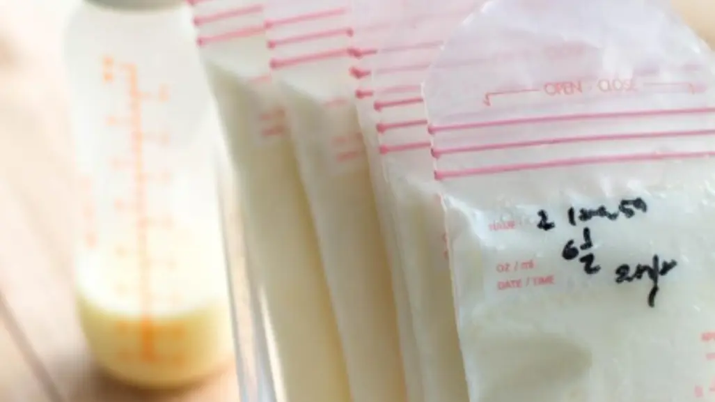 Banco de Leche Humana en Tamaulipas: una herramienta costo‑efectiva para salvar vidas neonatales