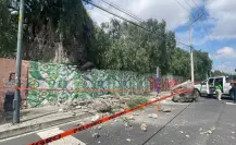 Cae enorme roca del cerro del Tepeyac y deja lesionado a un adulto mayor en la CDMX