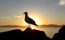 Así cierra el clima en BCS en última semana de julio: ¡mucho calor!