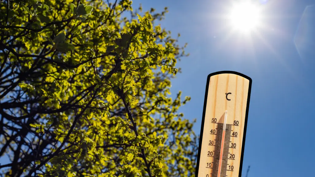 Tamaulipas entre los tres estados con más muertes por la ola de calor en el 2025