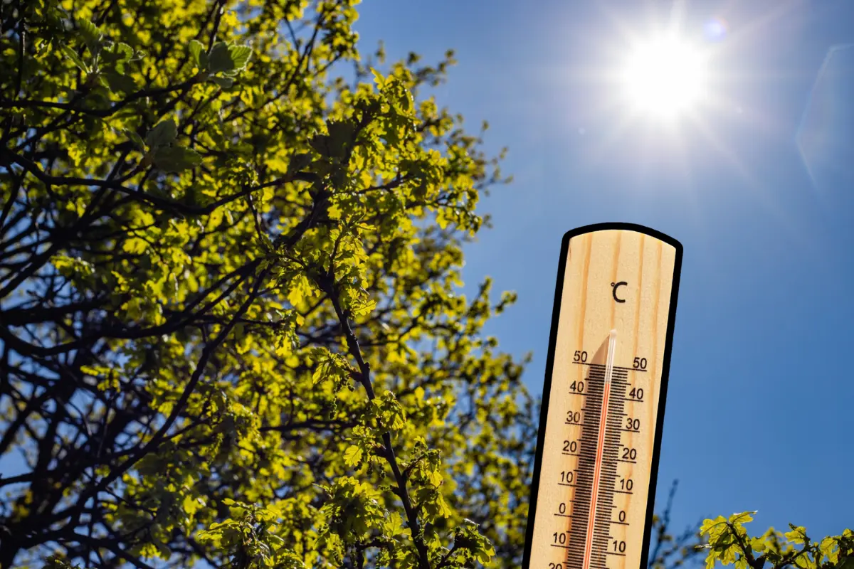 La temperaturas se ha llegado ha registrar hasta los 46 grados centígrados | Foto: Ramón Sánchez