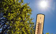 Tamaulipas entre los tres estados con más muertes por la ola de calor en el 2025