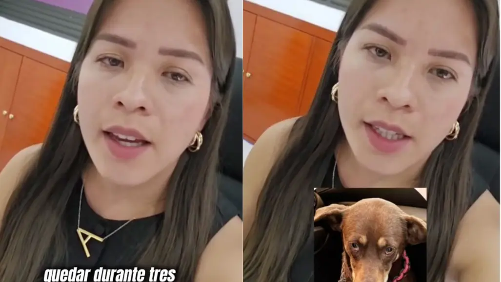 VIDEO | Tiktoker denuncia a clínica veterinaria en CDMX por perder a perrita rescatada