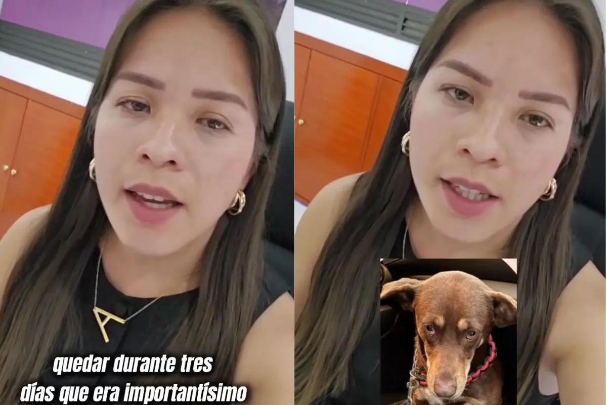 Video denuncia de Alejandra Reyes a Hospital Carson en Iztapalapa CDMX Foto: captura TikTok (@alereyessh) | Canva